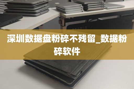 深圳数据盘粉碎不残留_数据粉碎软件