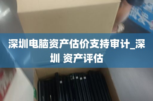 深圳电脑资产估价支持审计_深圳 资产评估