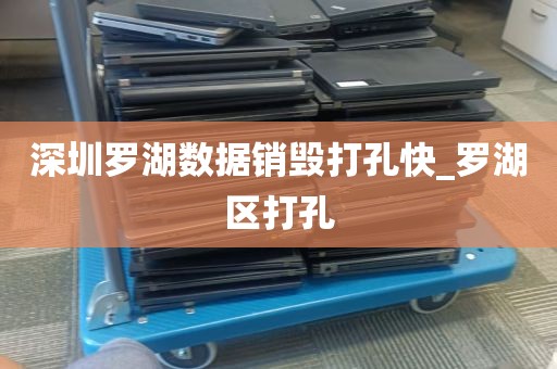 深圳罗湖数据销毁打孔快_罗湖区打孔