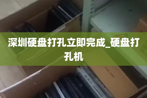 深圳硬盘打孔立即完成_硬盘打孔机